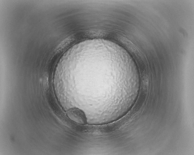 X0000116420254200912221451
