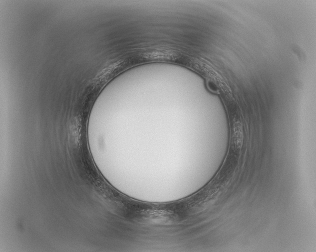 X0000116420255200912221451