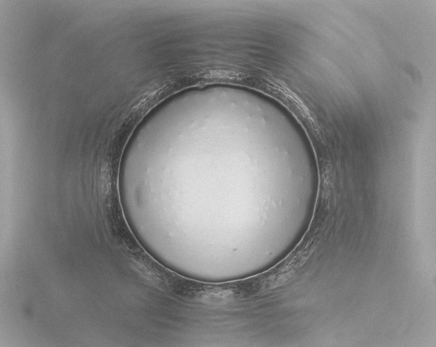 X0000116420257200912221451