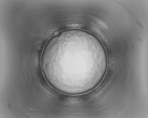 X0000116420259200912221451