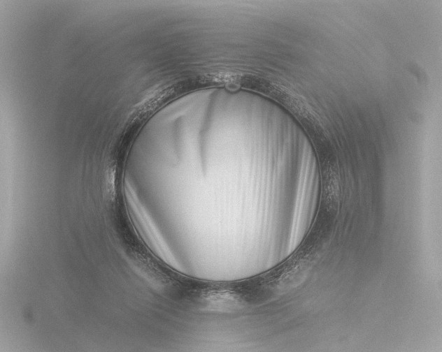 X0000116420262200912221451