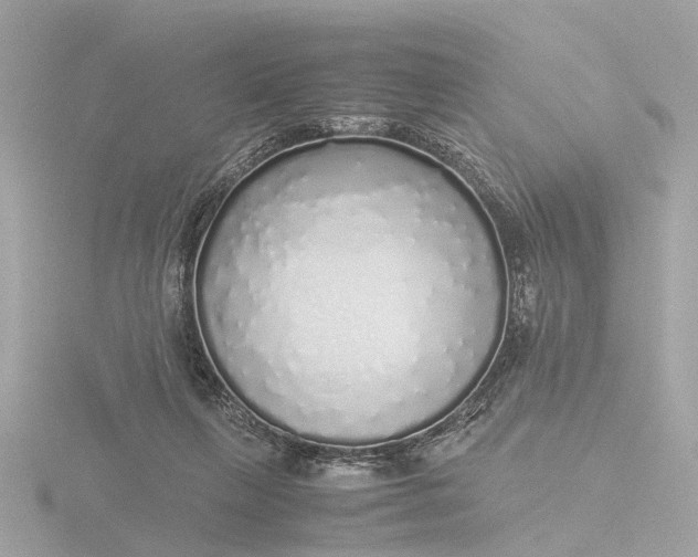 X0000116420263200912221451