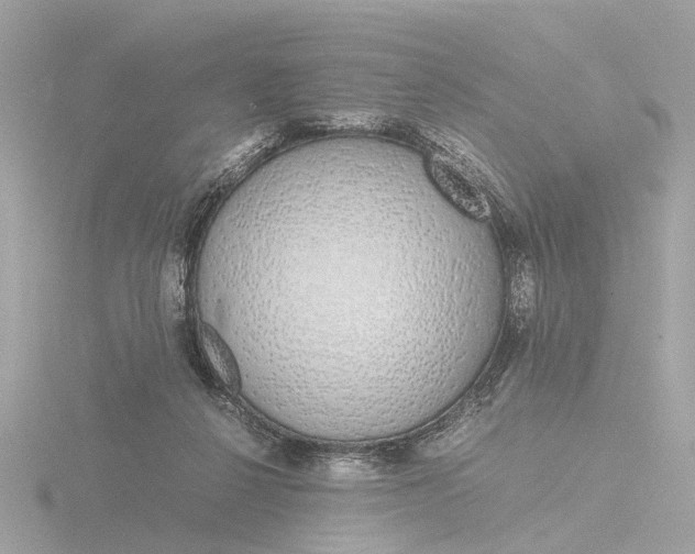 X0000116420264200912221451