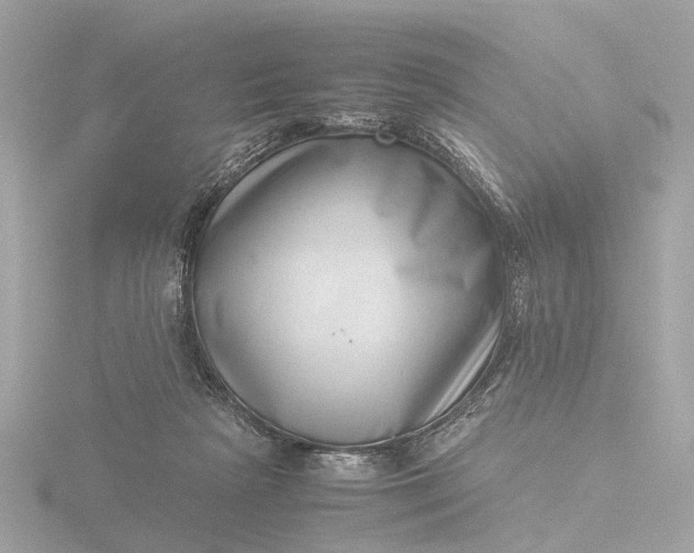 X0000116420265200912221451
