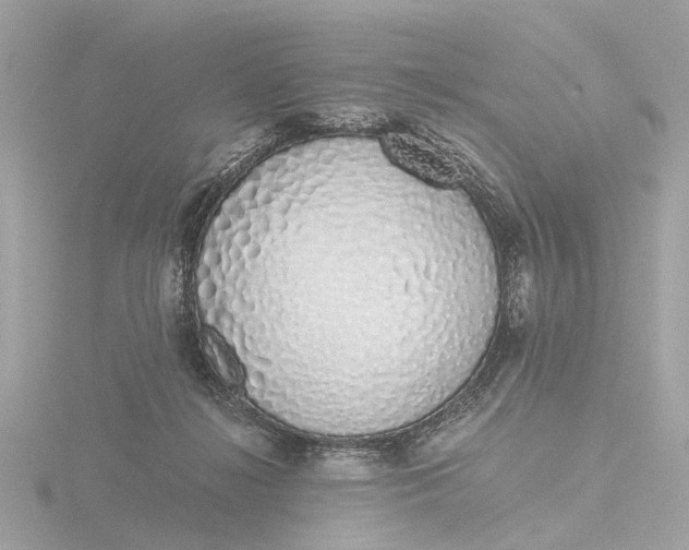 X0000116420268200912221451