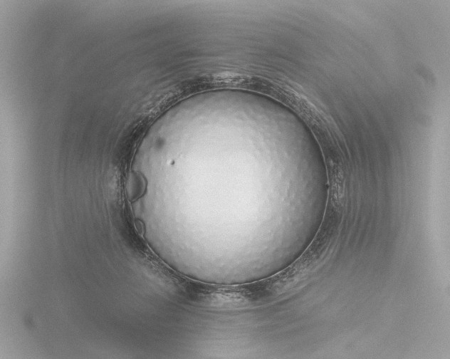 X0000116420270200912221451