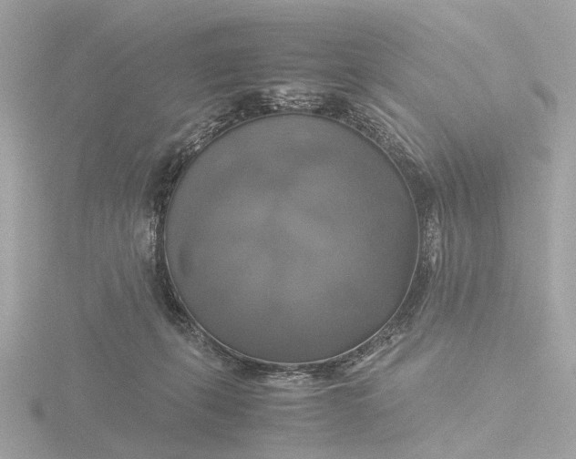 X0000116420271200912221451