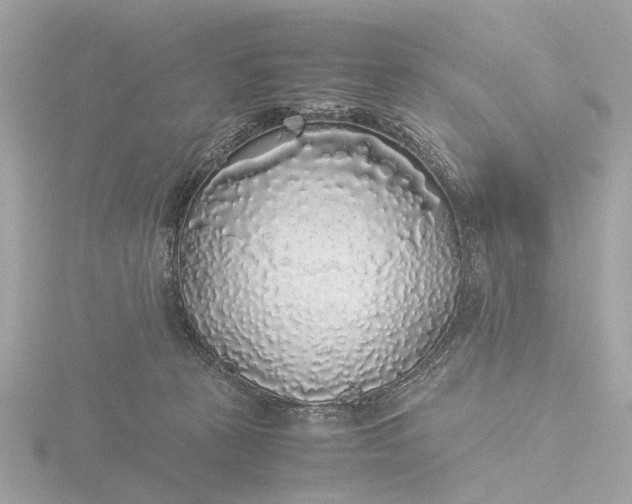 X0000116420273200912221451