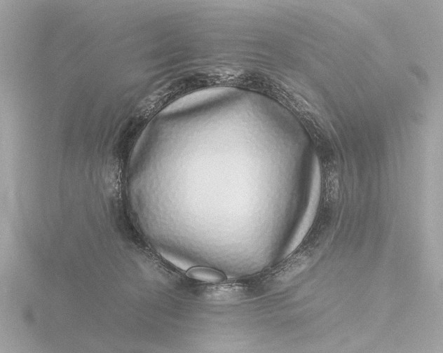 X0000116420274200912221451