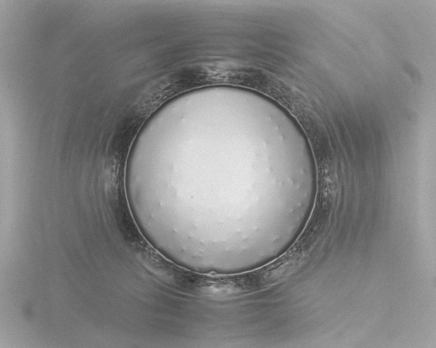 X0000116420275200912221451