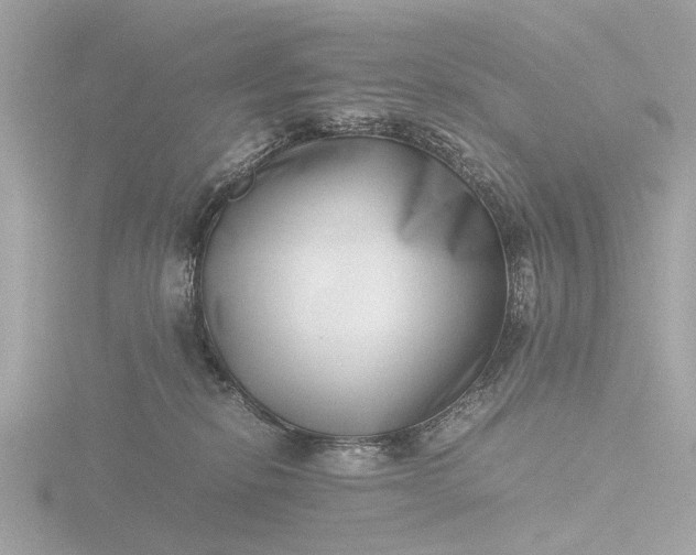 X0000116420278200912221451