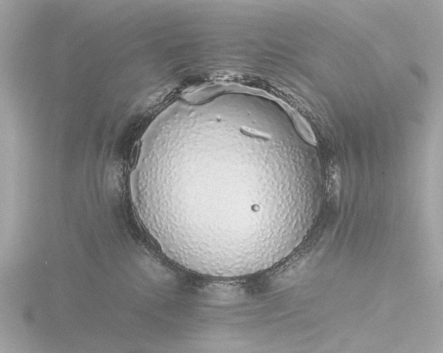 X0000116420280200912221451