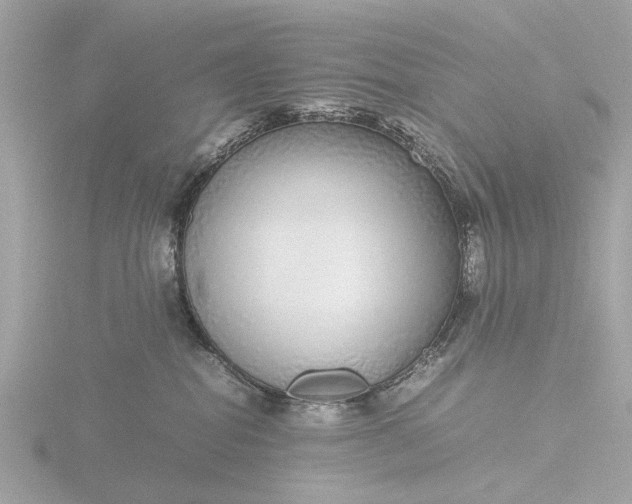 X0000116420282200912221451