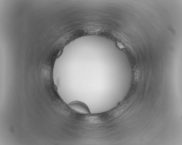 X0000116420283200912221451