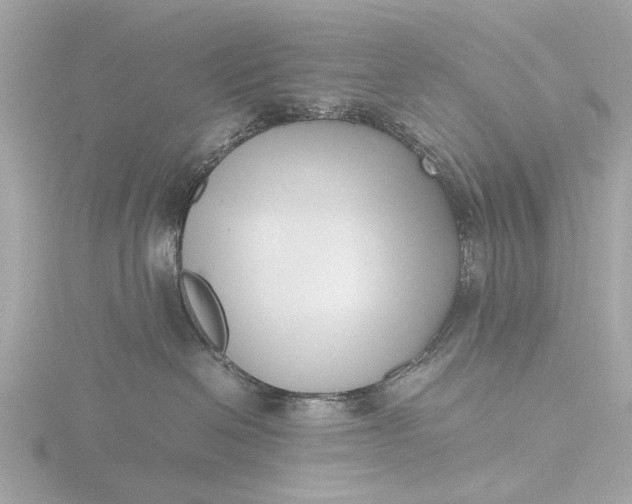 X0000116420286200912221451