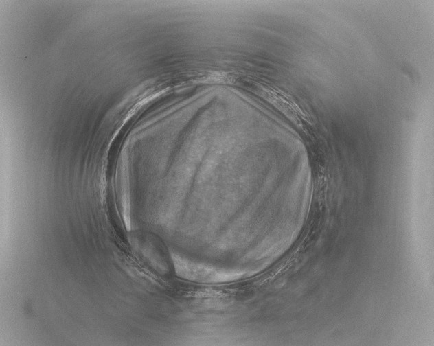 X0000116420290200912221451