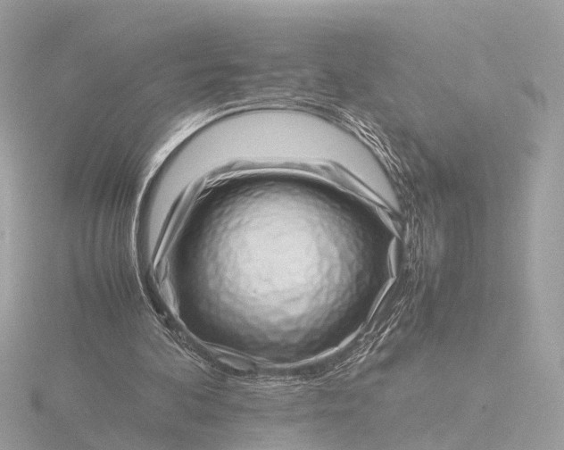 X0000116420292200912221451