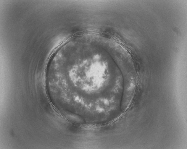 X0000116420293200912221451