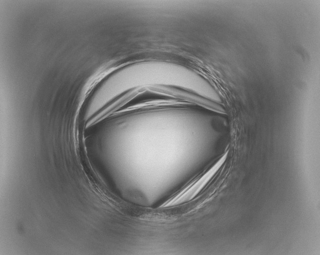 X0000116420294200912221451