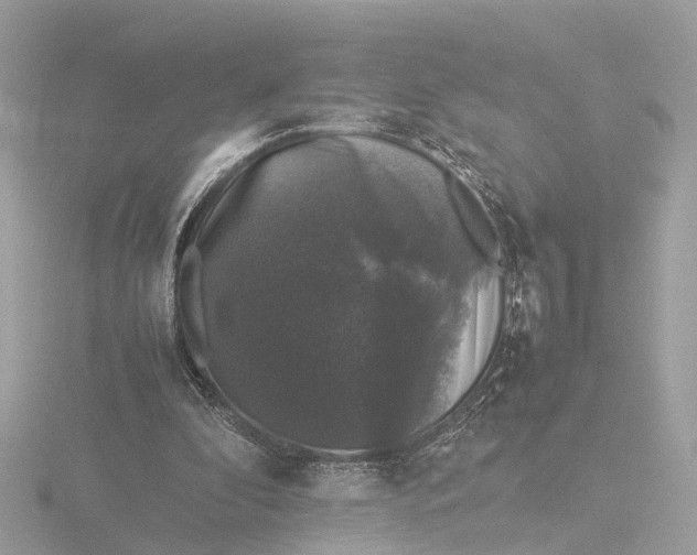 X0000116420296200912221451