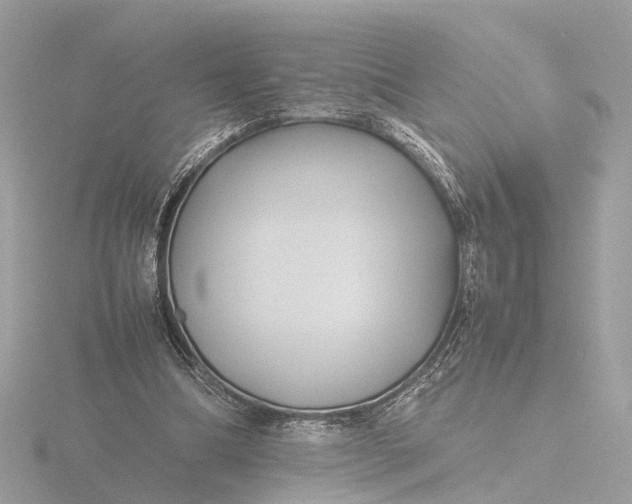 X0000116420298200912221451