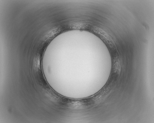 X0000116420310200912221450
