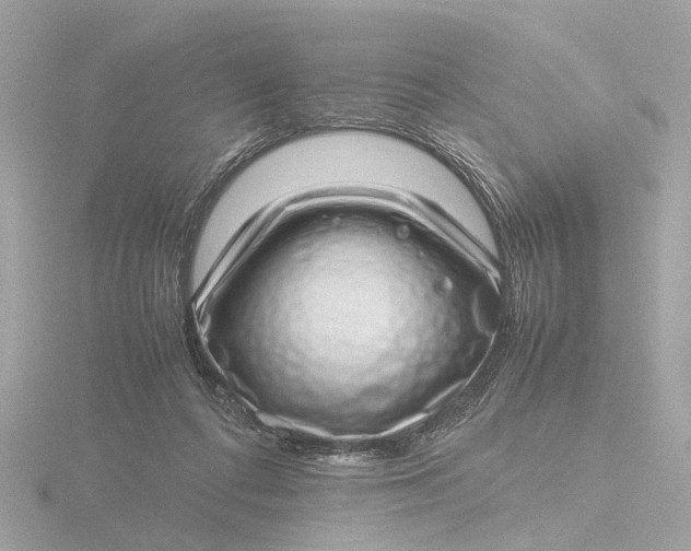 X0000116420312200912221450