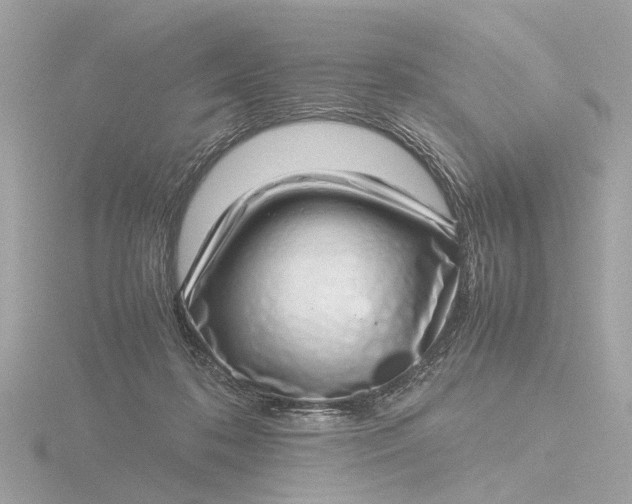 X0000116420316200912221450
