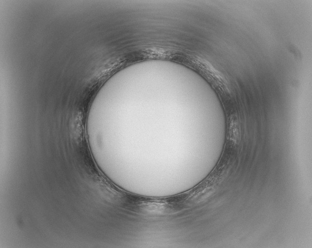 X0000116420318200912221450