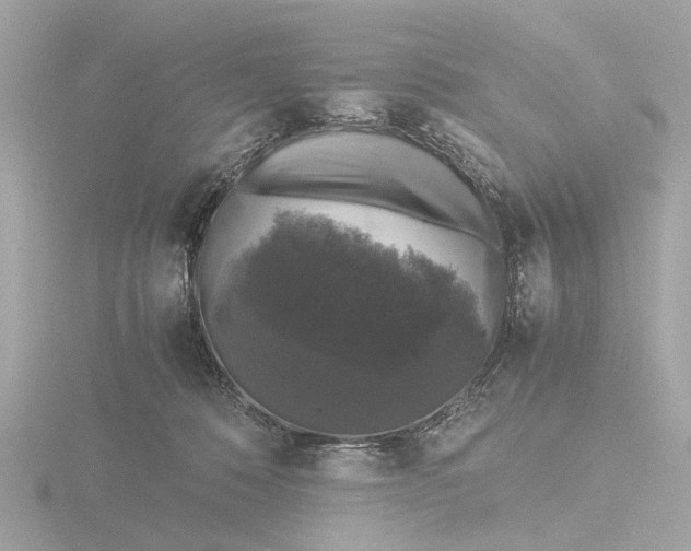 X0000116420320200912221450