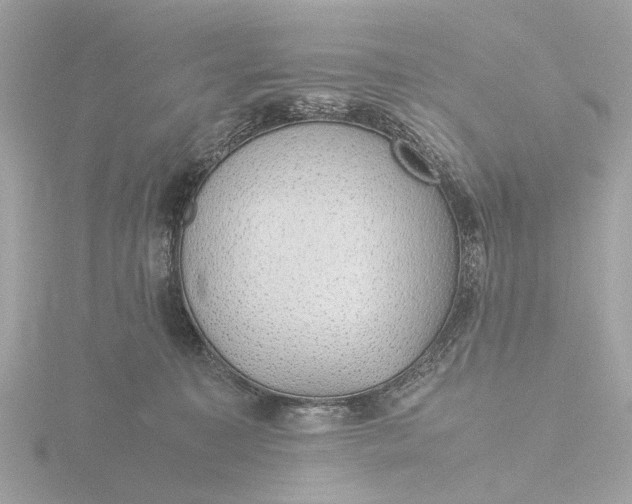 X0000116420323200912221450