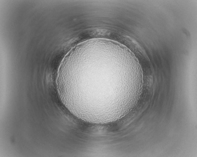 X0000116420326200912221450