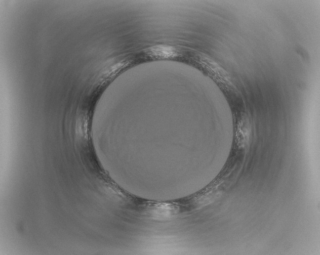 X0000116420330200912221450