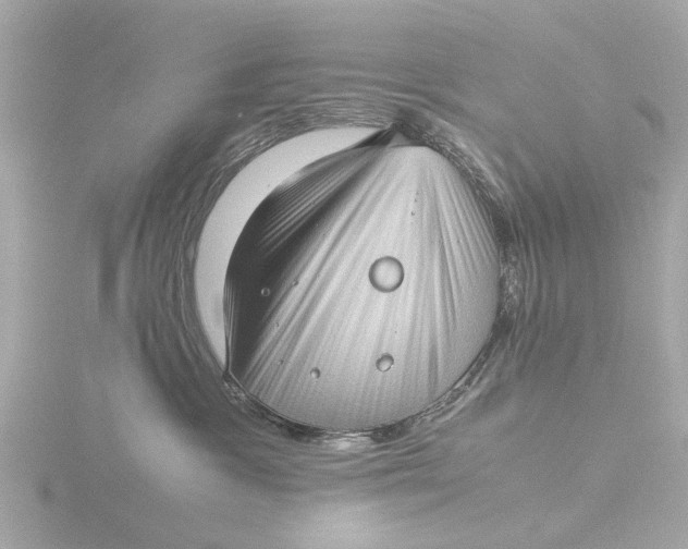 X0000116420333200912221450