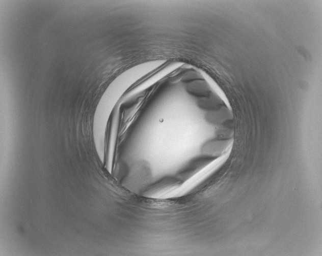 X0000116420336200912221450