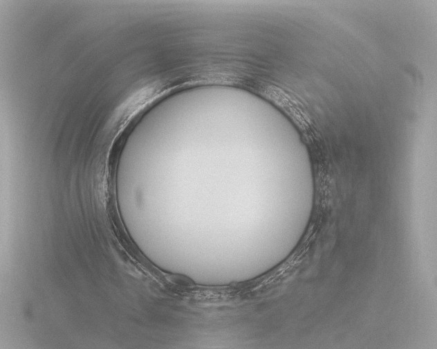 X0000116420338200912221450