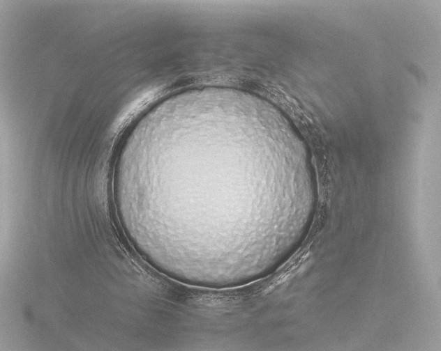X0000116420341200912221450