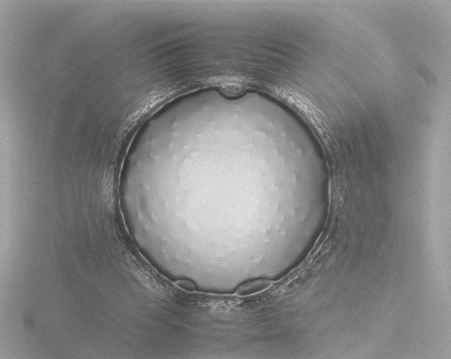 X0000116420345200912221450