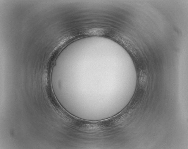 X0000116420351200912221450