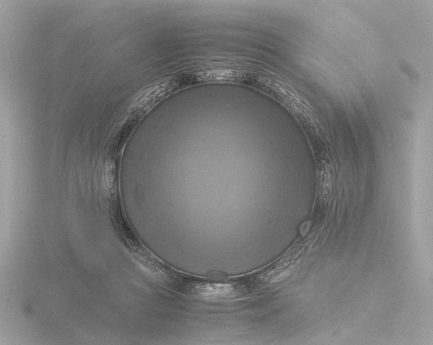 X0000116420361200912221450