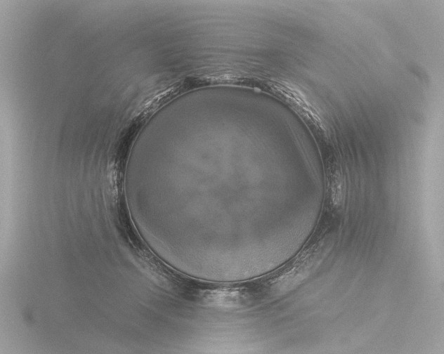 X0000116420366200912221450