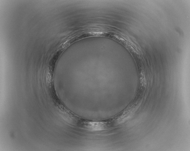 X0000116420371200912221450