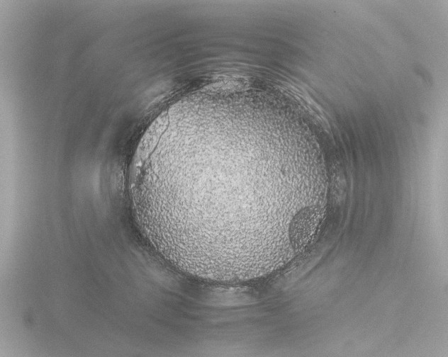 X0000116420375200912221450