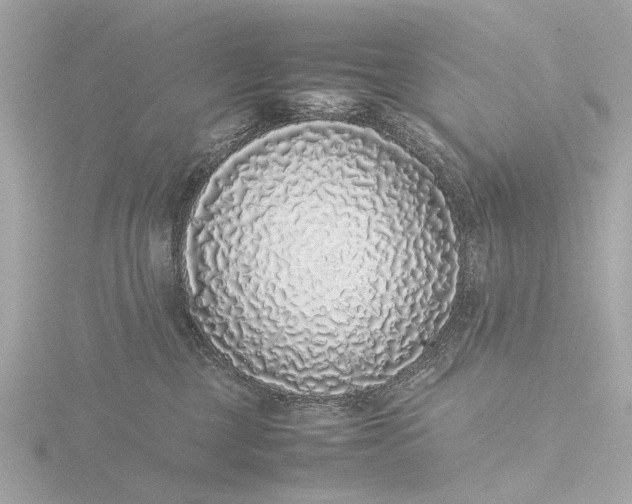 X0000116420377200912221450