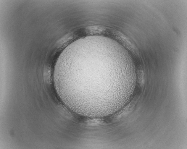 X0000116420378200912221450