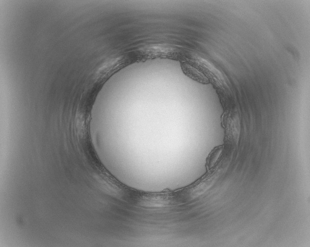 X0000116420381200912221450