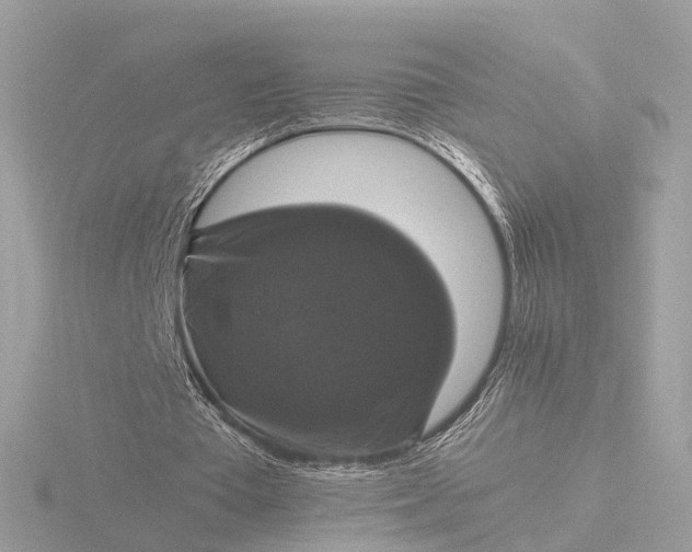 X0000116420385200912221450
