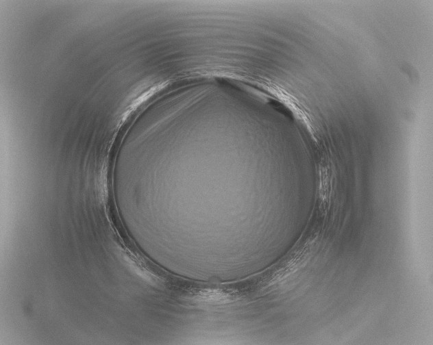 X0000116420390200912221449
