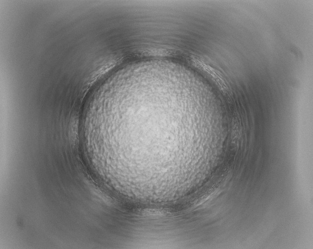 X0000116420394200912221449