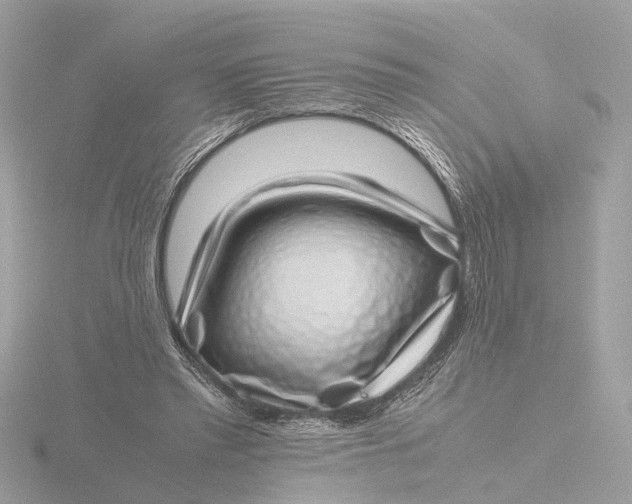 X0000116420397200912221449